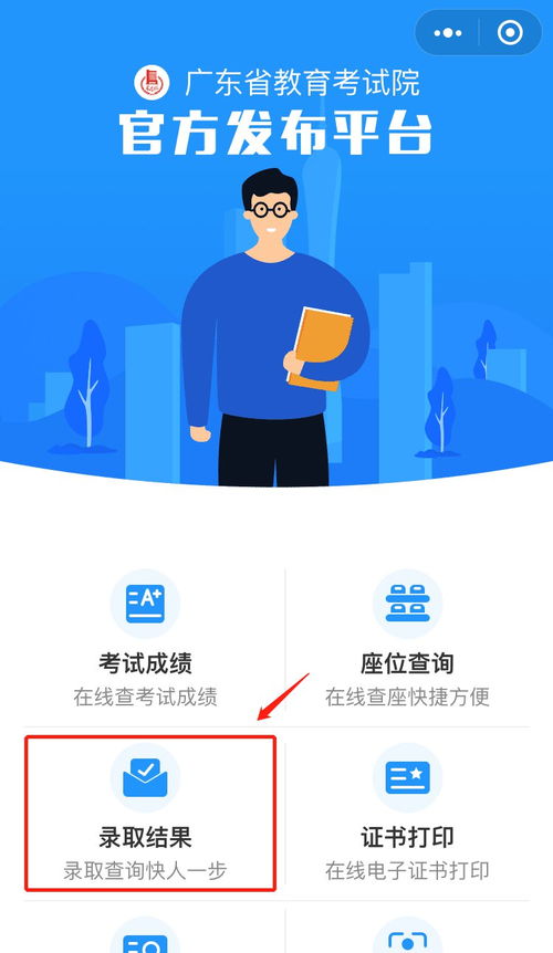 2021年深圳信息職業(yè)技術(shù)學(xué)院錄取結(jié)果查詢方式與信息技術(shù)咨詢服務(wù)指南