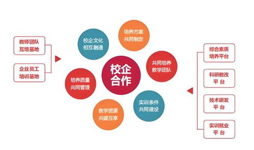 智慧職校建設(shè)新思路 職業(yè)教育信息化實(shí)踐指南與信息技術(shù)咨詢服務(wù)