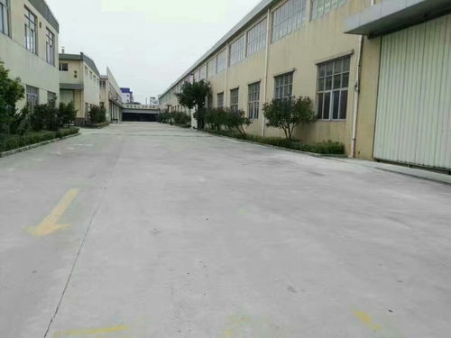 無形之手編織的有序生態 工業園區的靜默交響詩