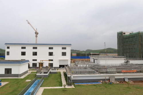 以學促干，賦能綠色基建 靈山環保水務項目高質量通過竣工驗收